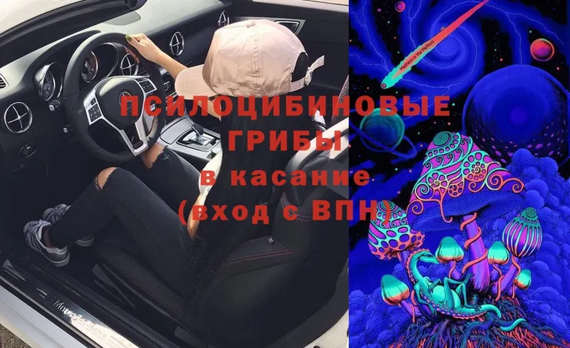 Галлюциногенные грибы Cubensis  Княгинино 